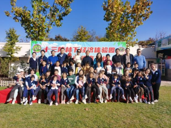 图片 31