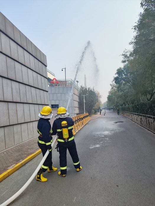 92464d11e0e111180320e147baa90e2 92464d11e0e111180320e147baa90e2