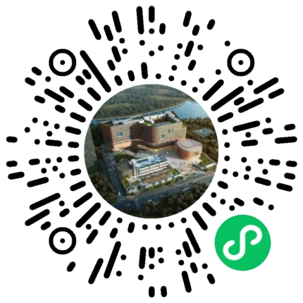 一大一小