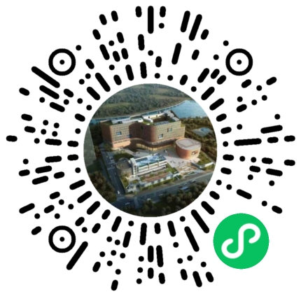 两大一小