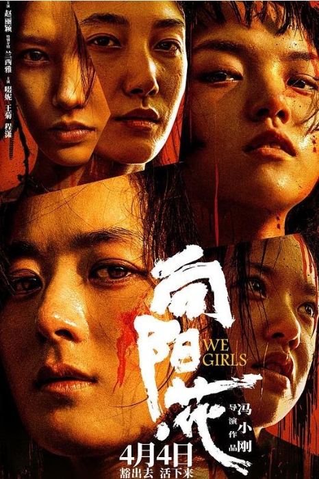 向阳花