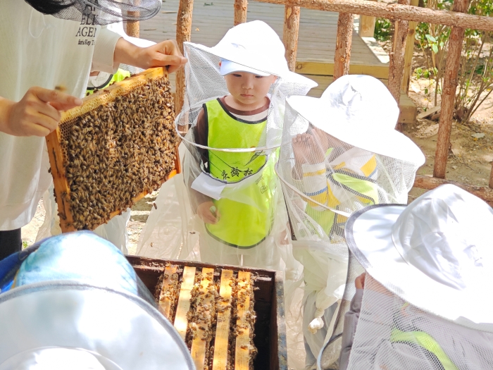 微信图片_20250429144923