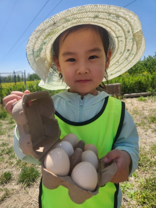 微信图片_20250429145208