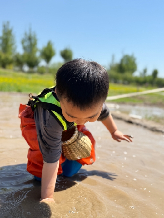 微信图片_20250429145329